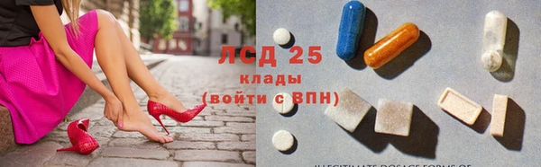 прущие грибы Беломорск