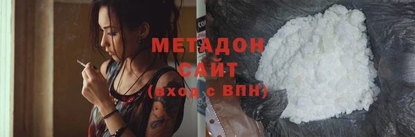 прущие грибы Беломорск