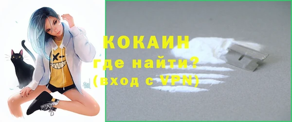 прущие грибы Беломорск