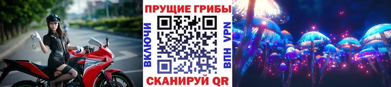 Псилоцибиновые грибы прущие грибы  Красноармейск 